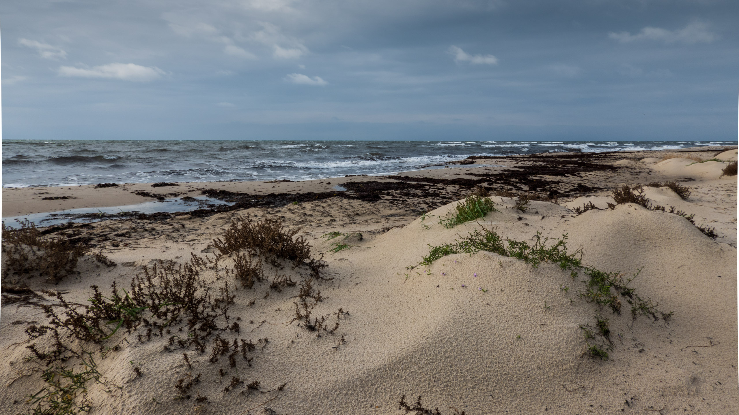 20211017_111629_DSC-RX100M7__DSC2299