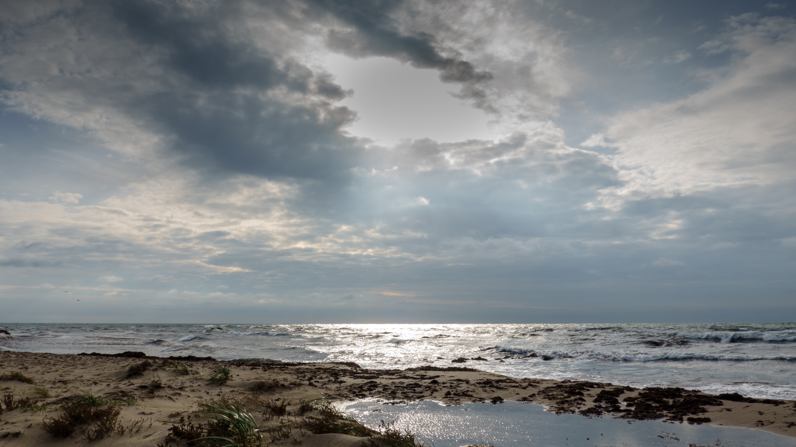 20211017_111658_DSC-RX100M7__DSC2301