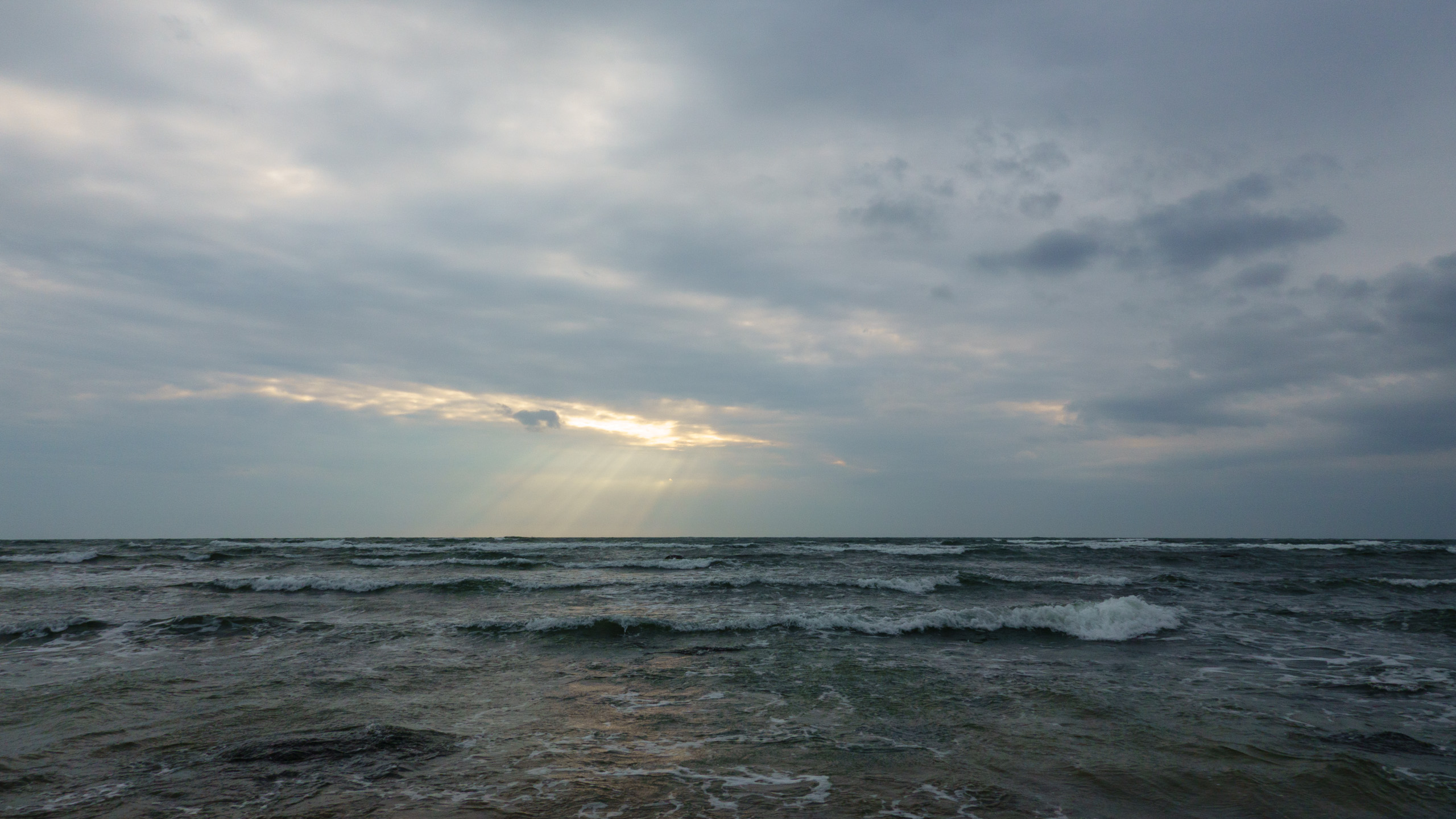 20211020_152117_DSC-RX100M7_DSC02351