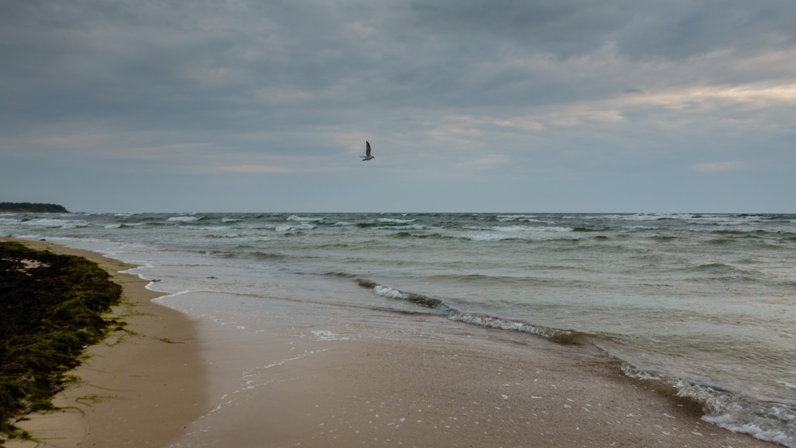 20211020_152735_DSC-RX100M7_DSC02356