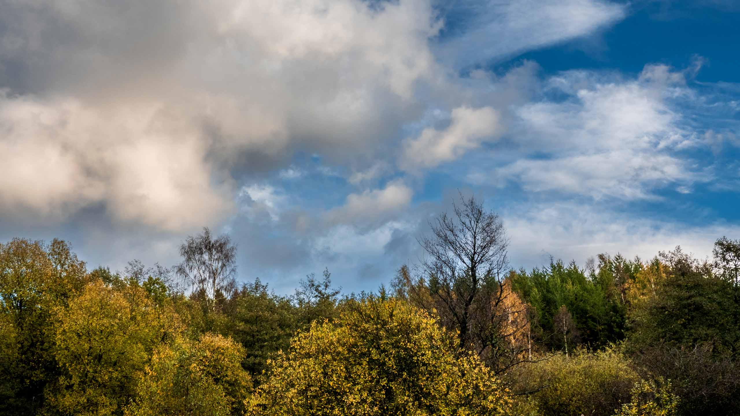 20211022_162143_DSC-RX100M7_DSC02392