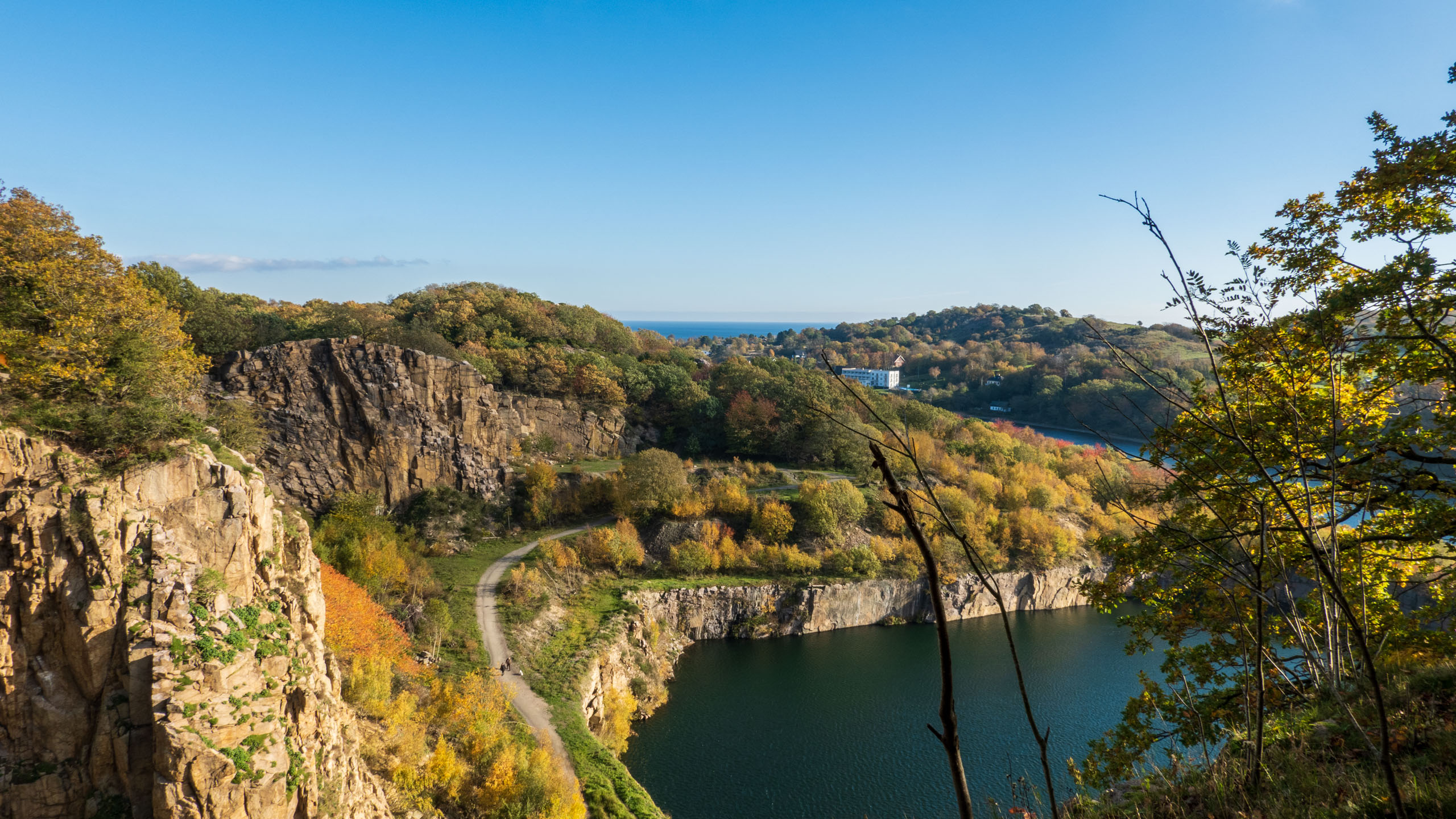 20211025_113759_DSC-RX100M7_DSC02465