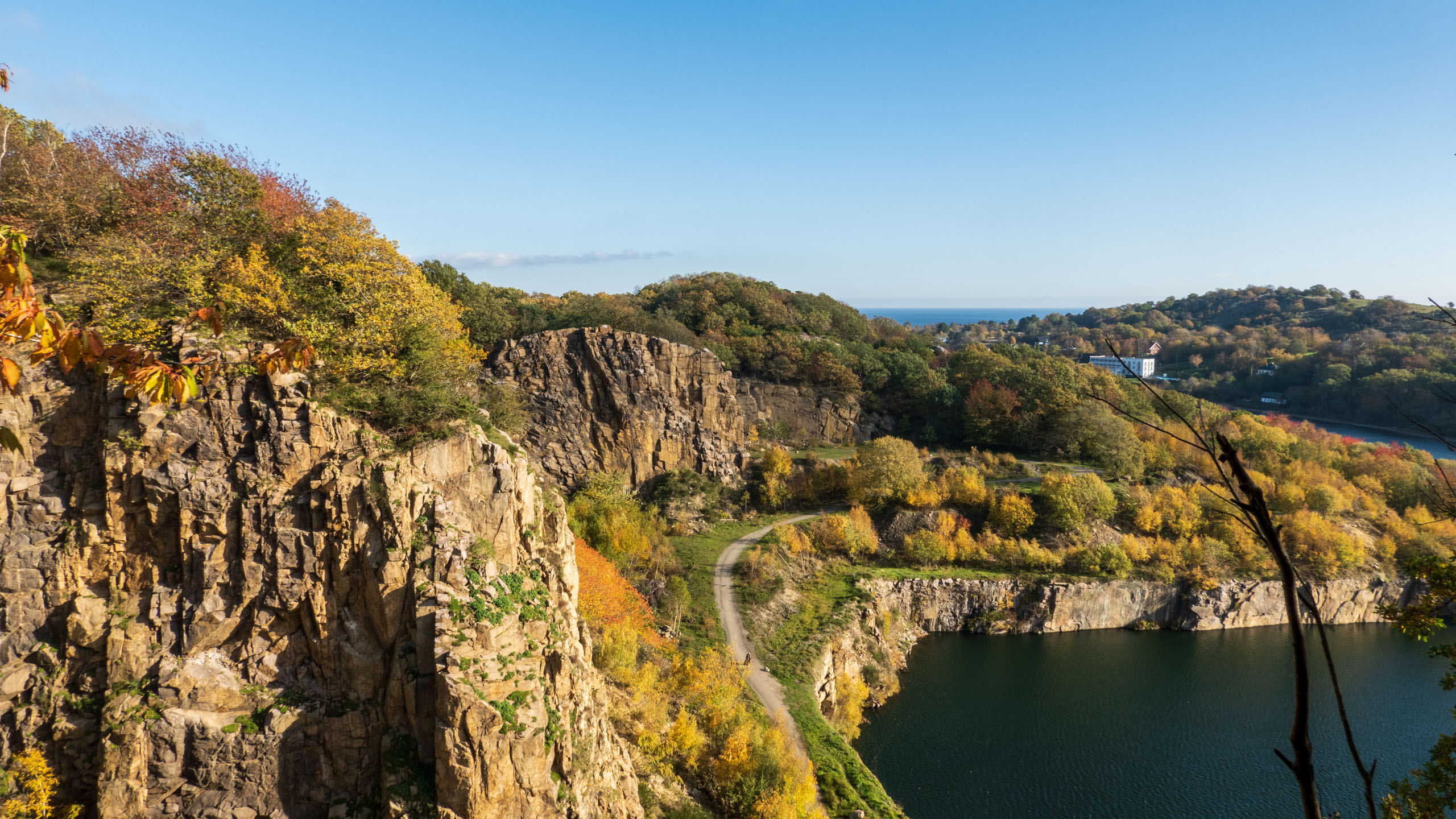 20211025_113803_DSC-RX100M7_DSC02466