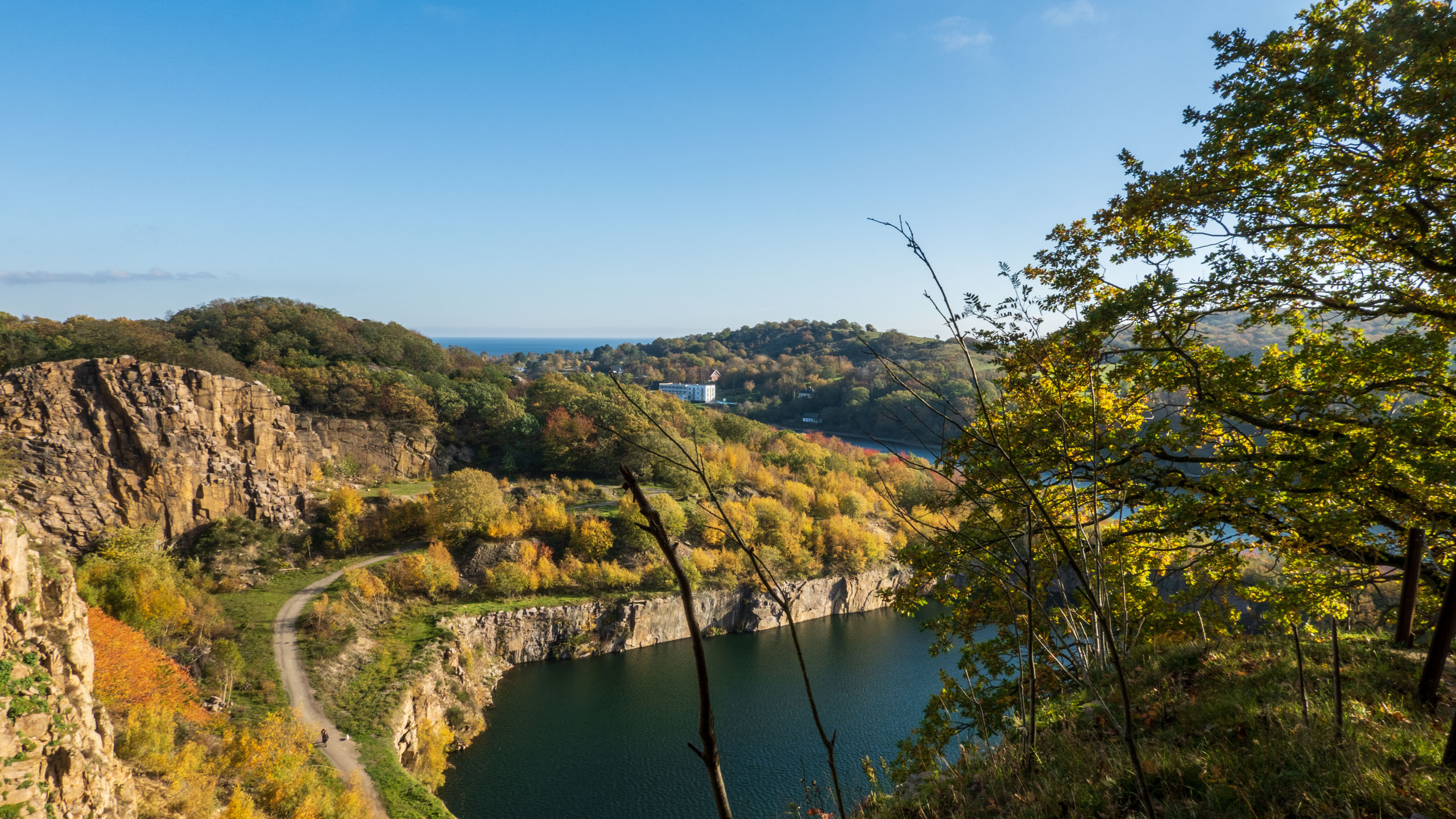 20211025_113807_DSC-RX100M7_DSC02467