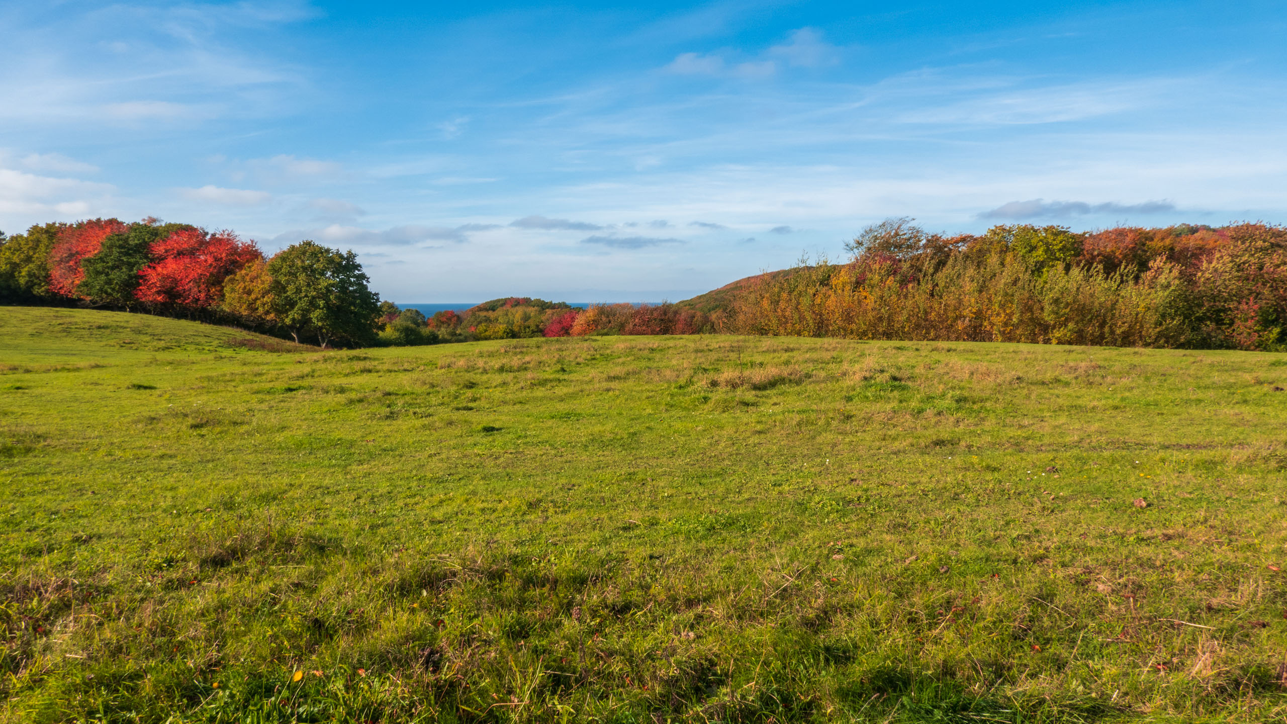 20211025_123354_DSC-RX100M7_DSC02476