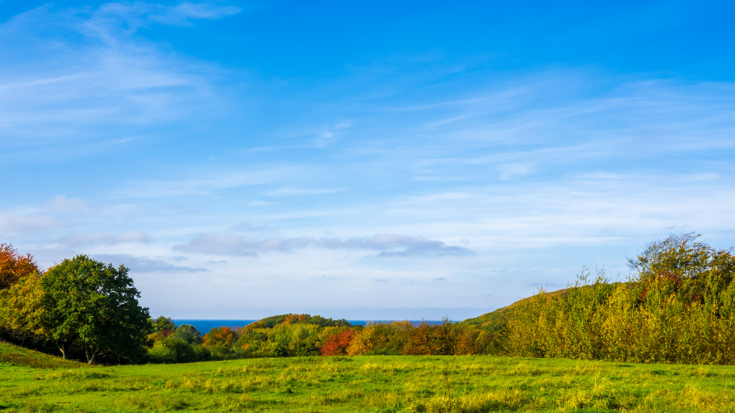 20211025_123708_DSC-RX100M7_DSC02478