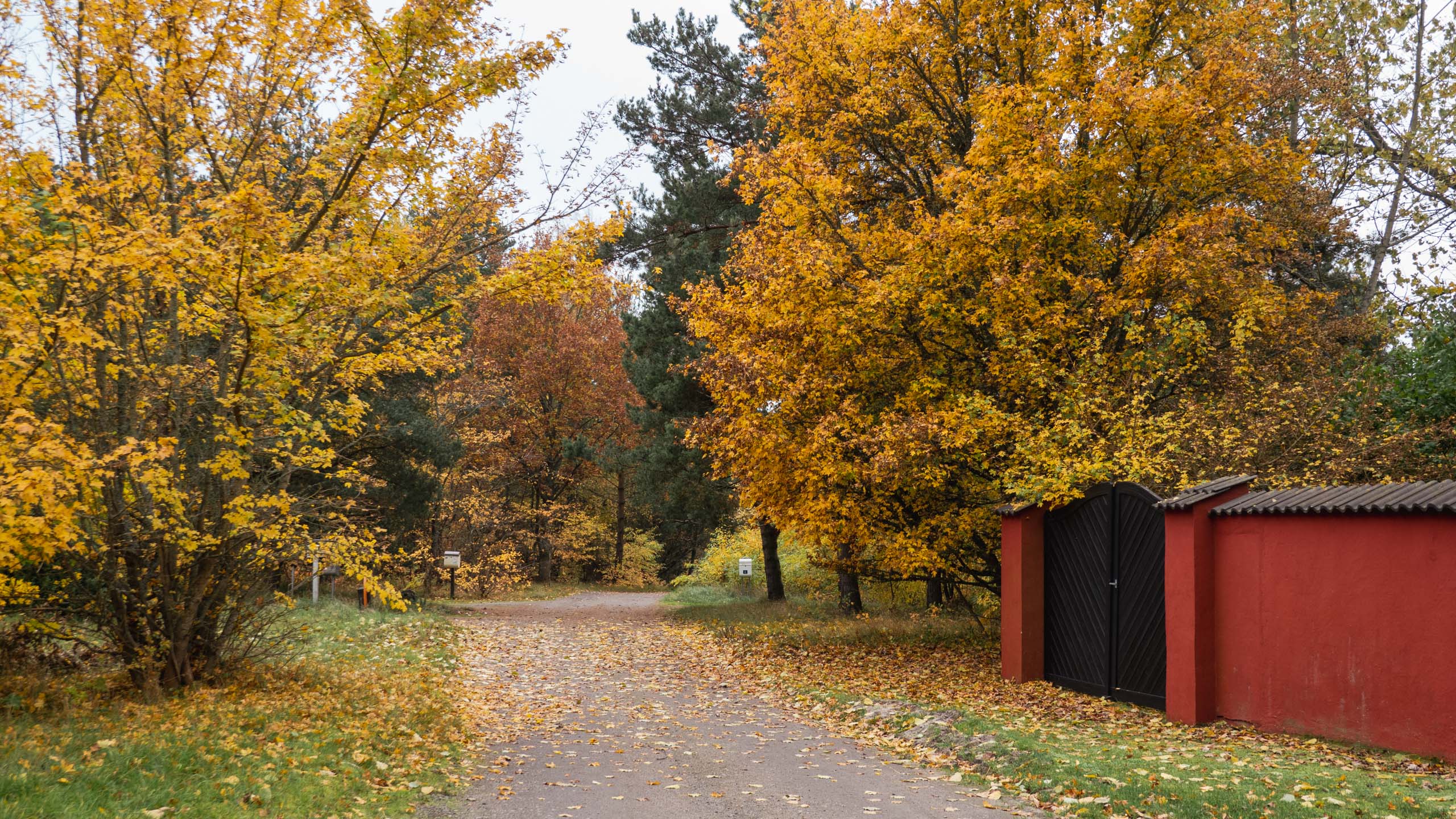 20211028_123537_DSC-RX100M7_DSC02486