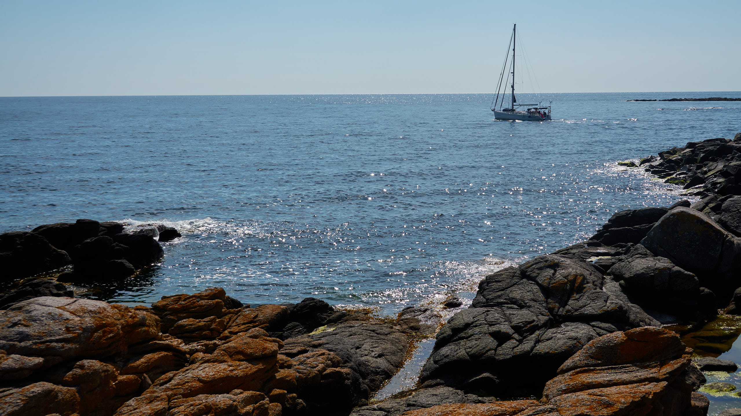 2021-06-05_DSC-RX100M7_DSC00235