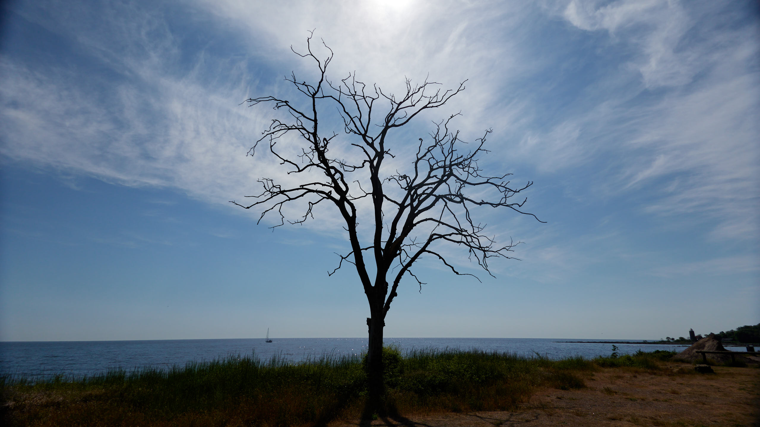 2021-06-05_DSC-RX100M7_DSC00239