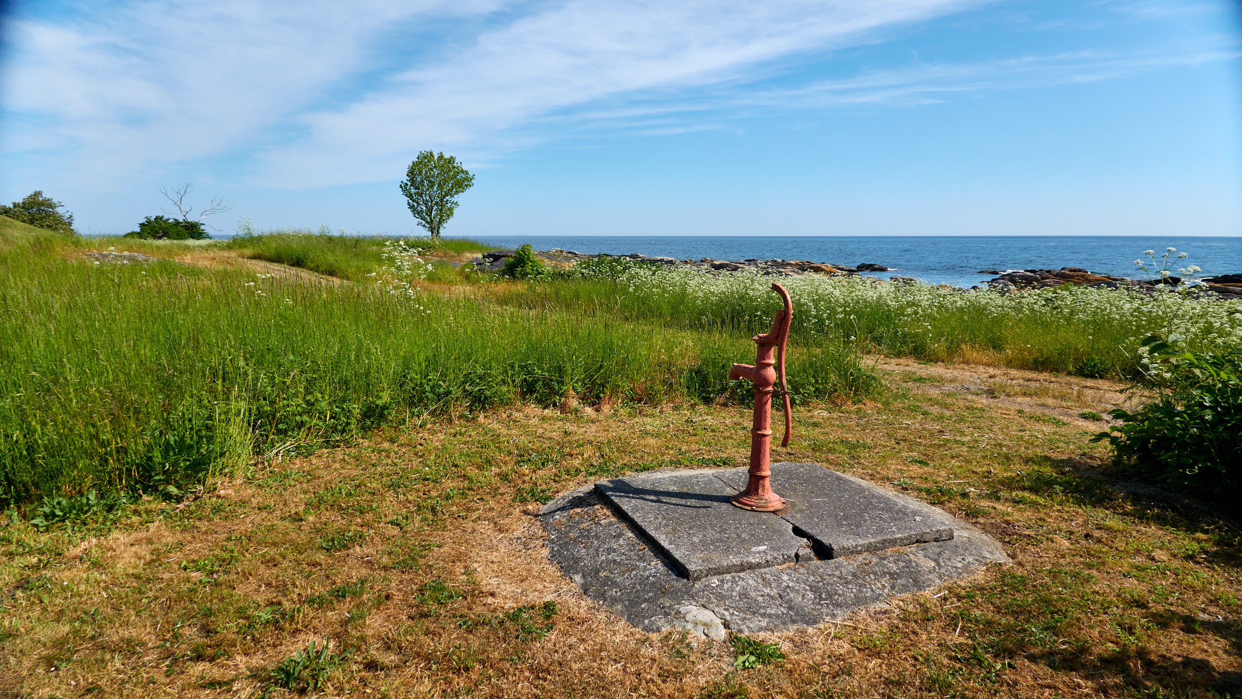 2021-06-05_DSC-RX100M7_DSC00240