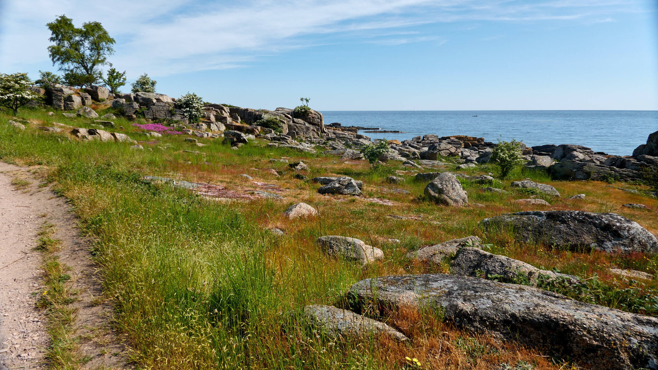 2021-06-05_DSC-RX100M7_DSC00256