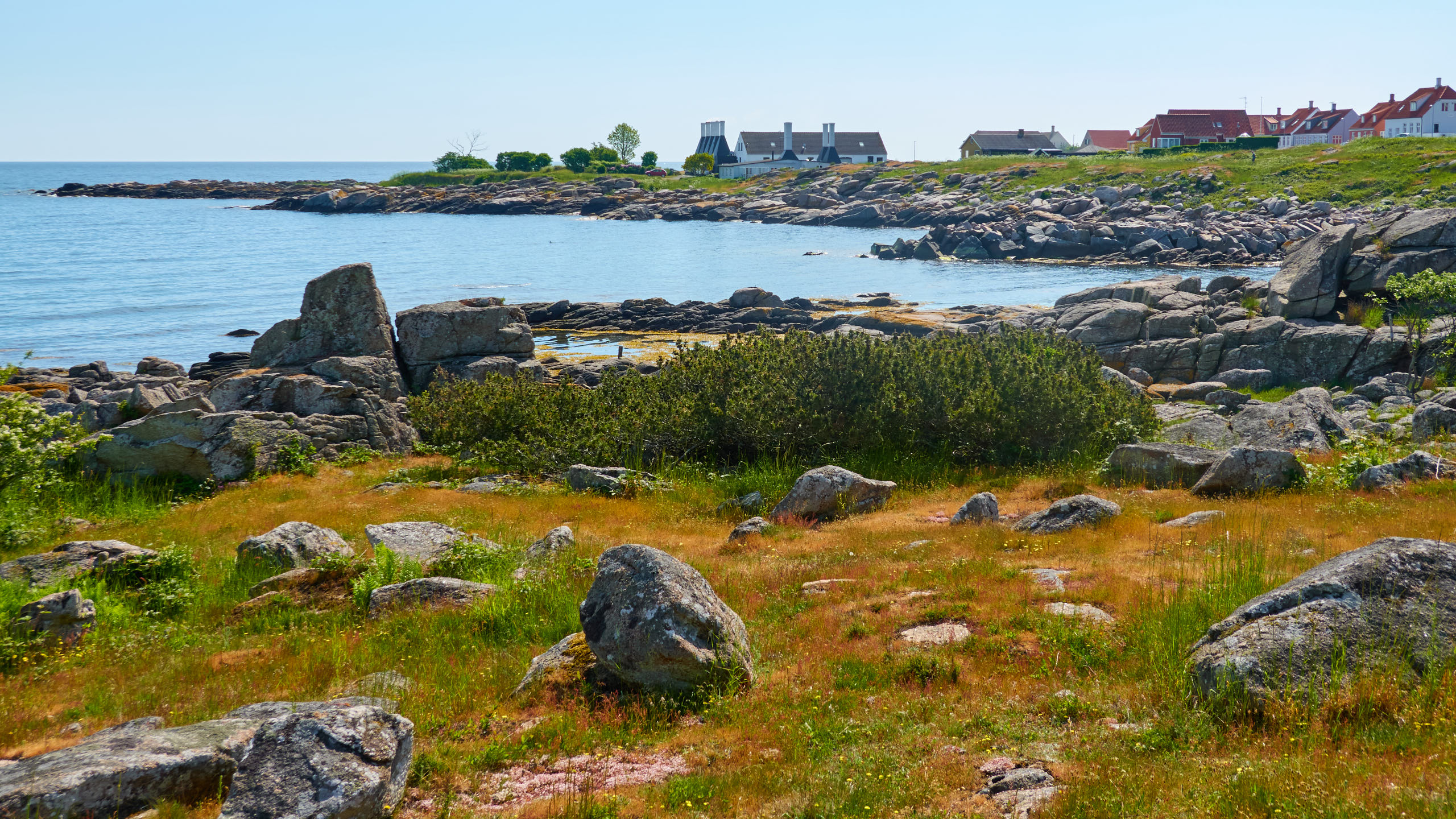 2021-06-05_DSC-RX100M7_DSC00259