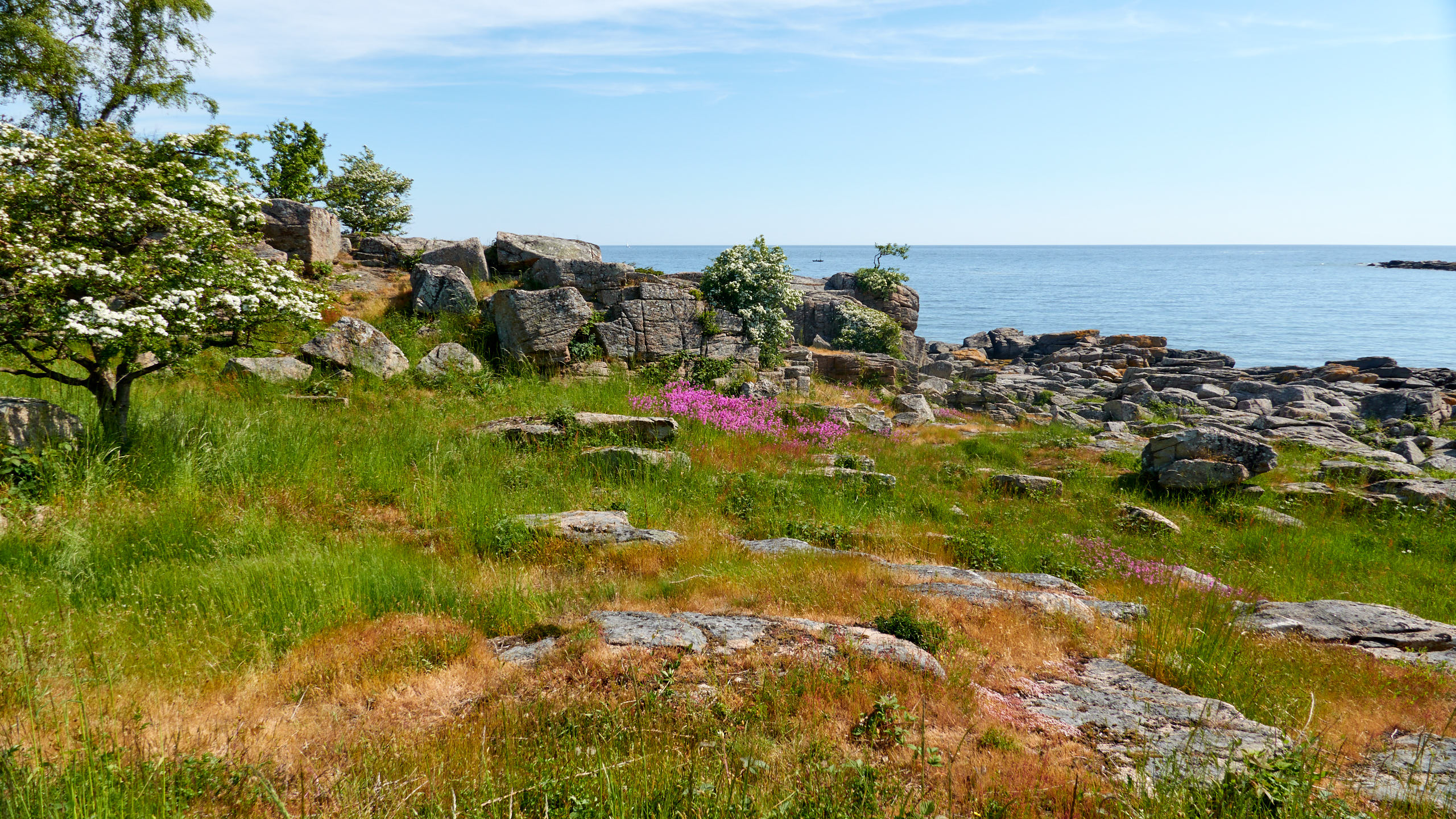 2021-06-05_DSC-RX100M7_DSC00260