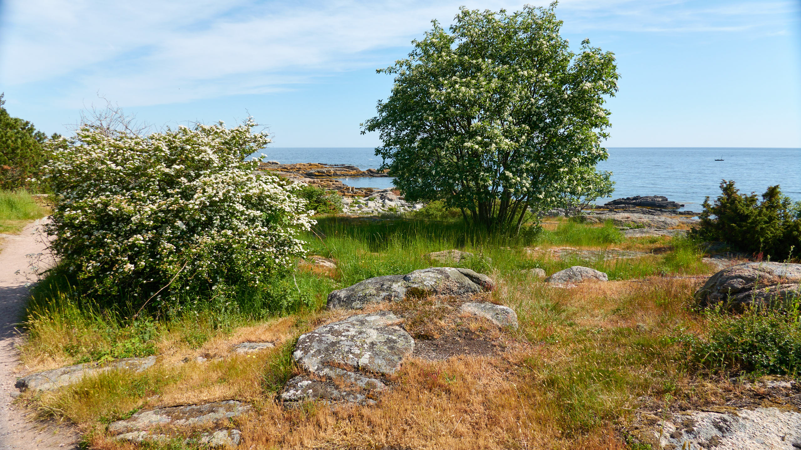 2021-06-05_DSC-RX100M7_DSC00262