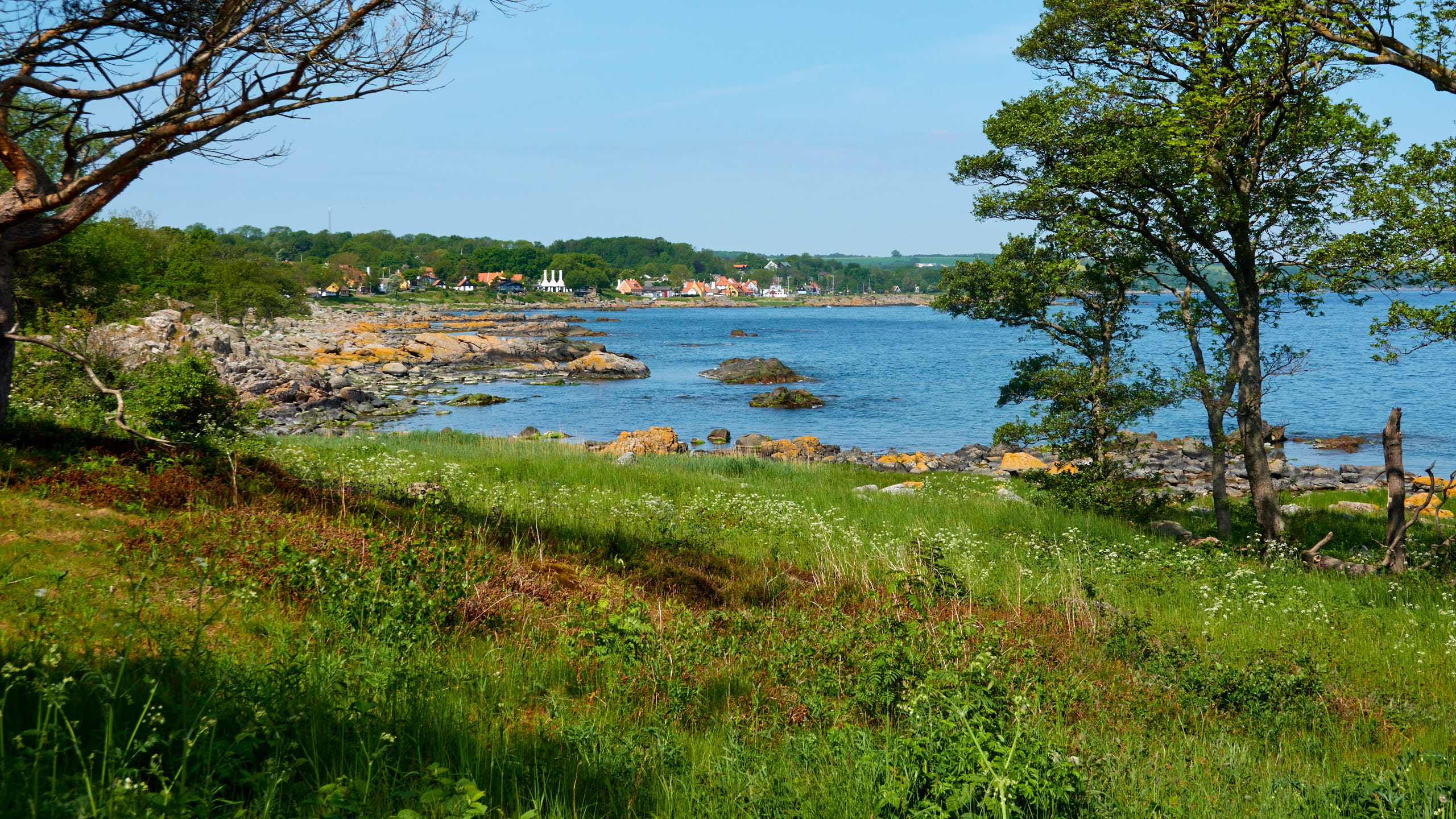 2021-06-05_DSC-RX100M7_DSC00267