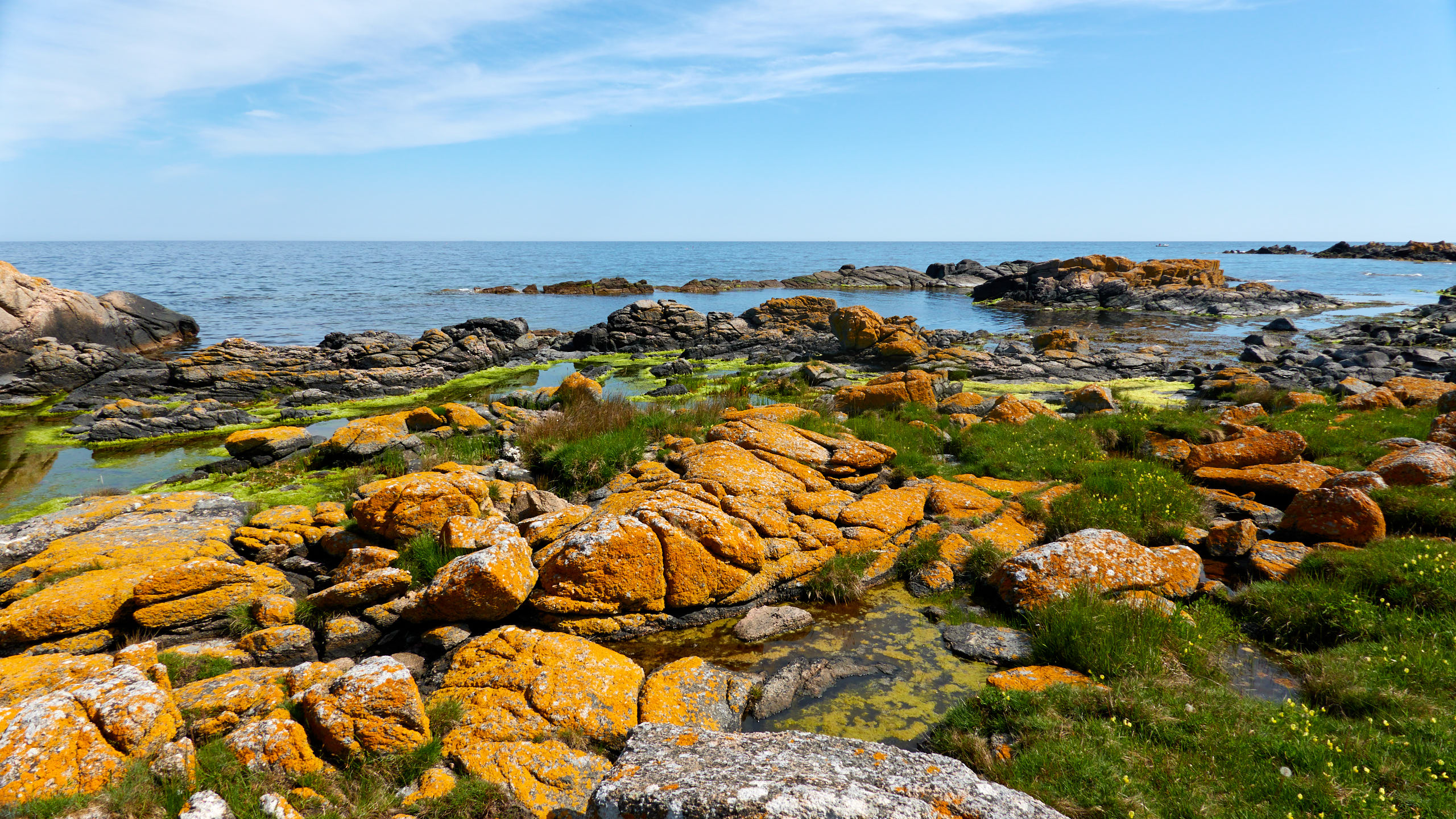 2021-06-05_DSC-RX100M7_DSC00271