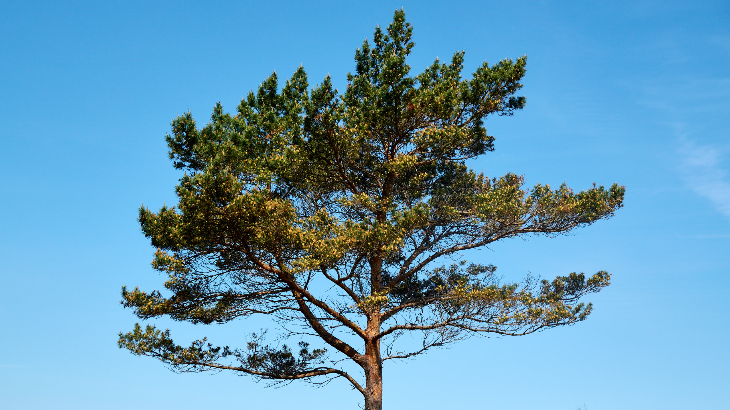 2021-06-05_DSC-RX100M7_DSC00290