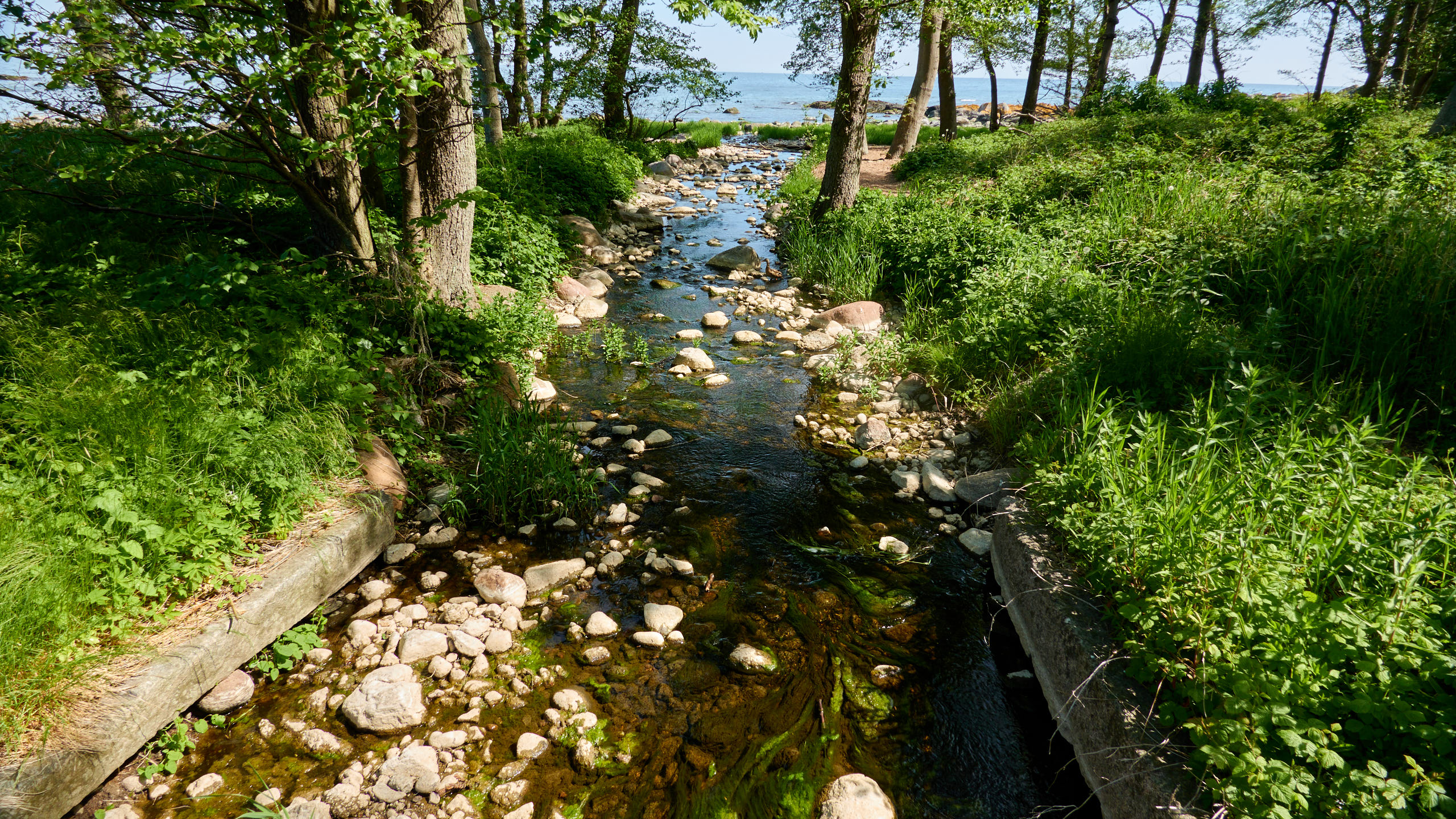 2021-06-05_DSC-RX100M7_DSC00294