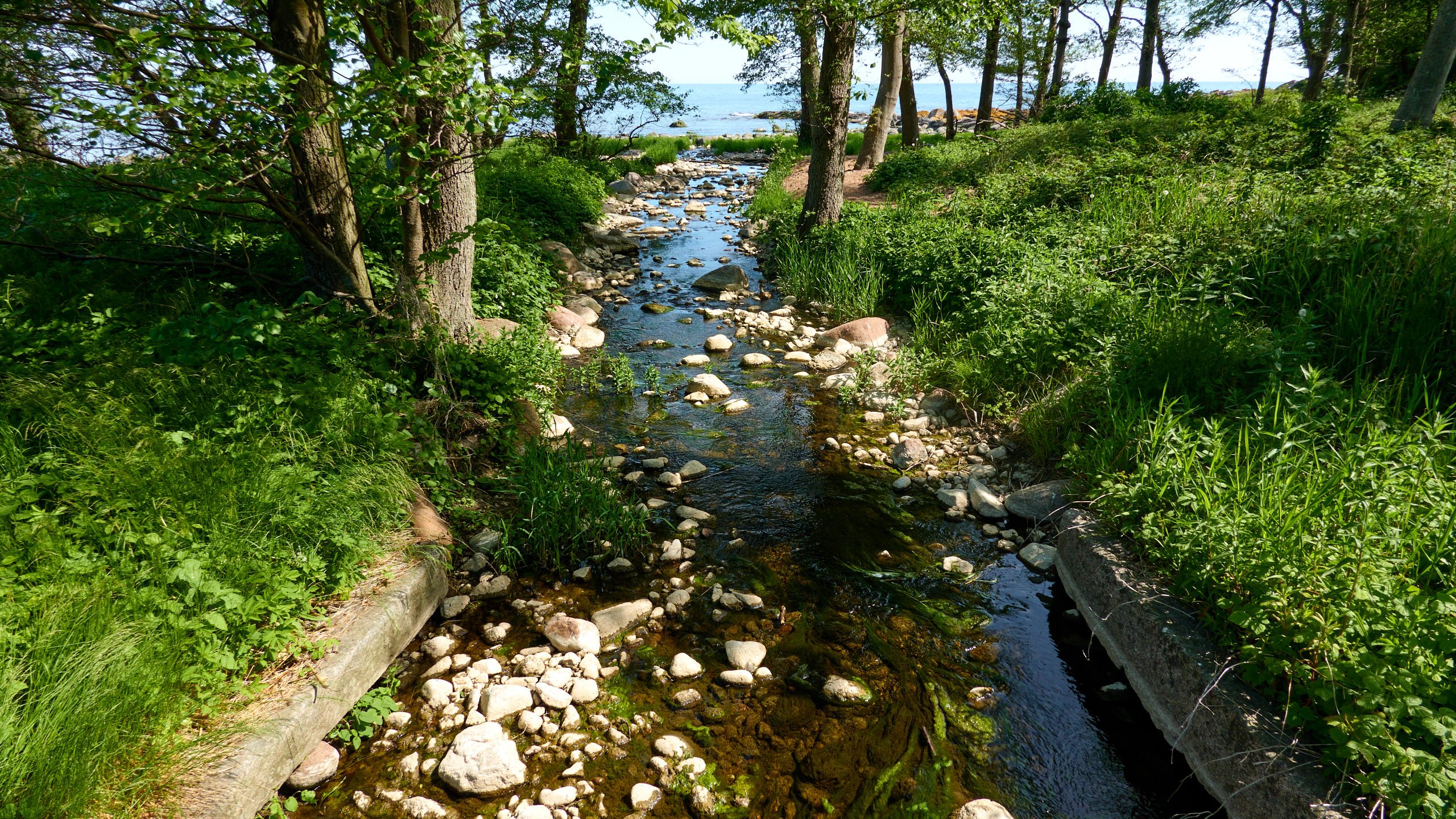 2021-06-05_DSC-RX100M7_DSC00295