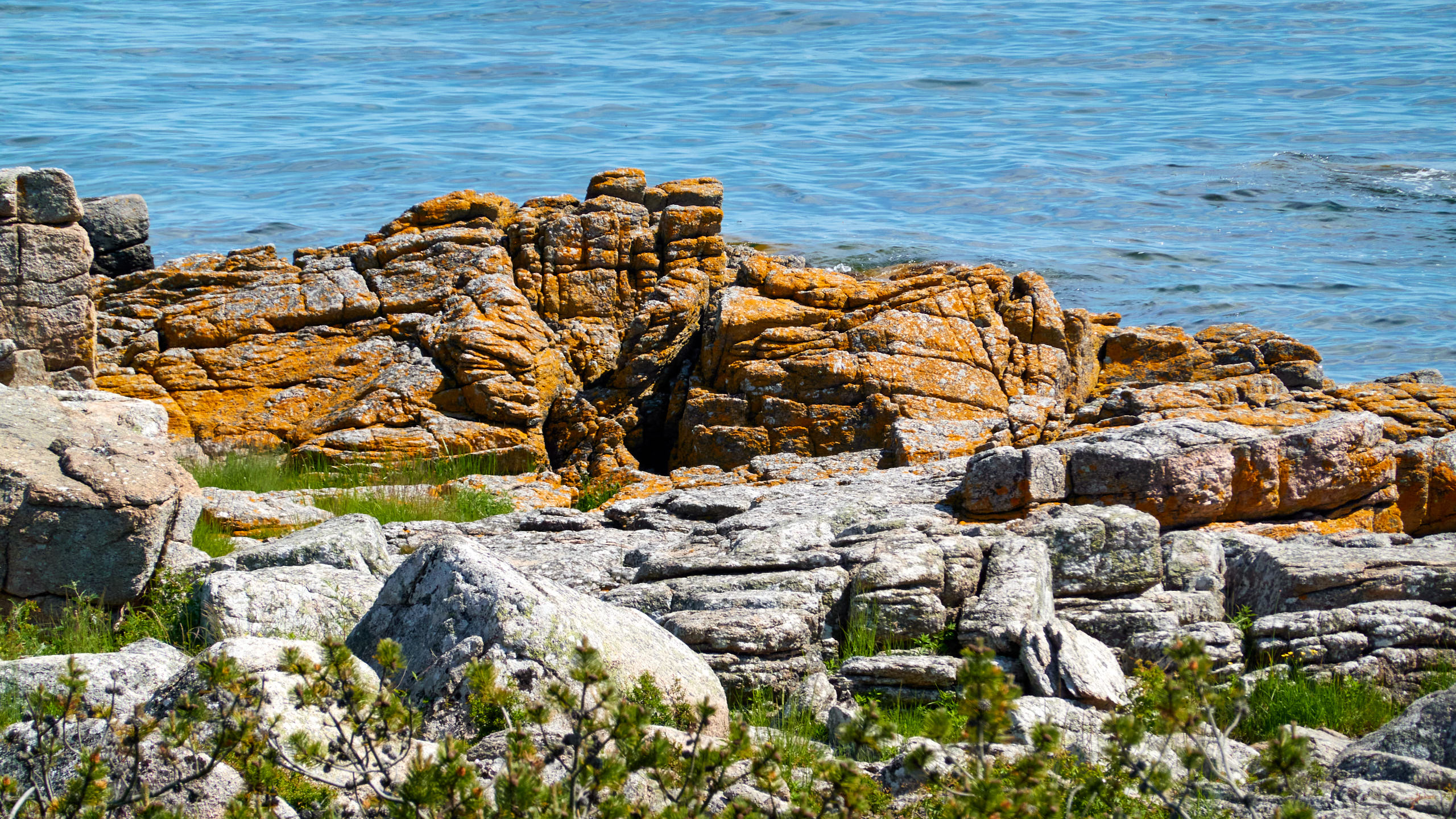 2021-06-05_DSC-RX100M7_DSC00330