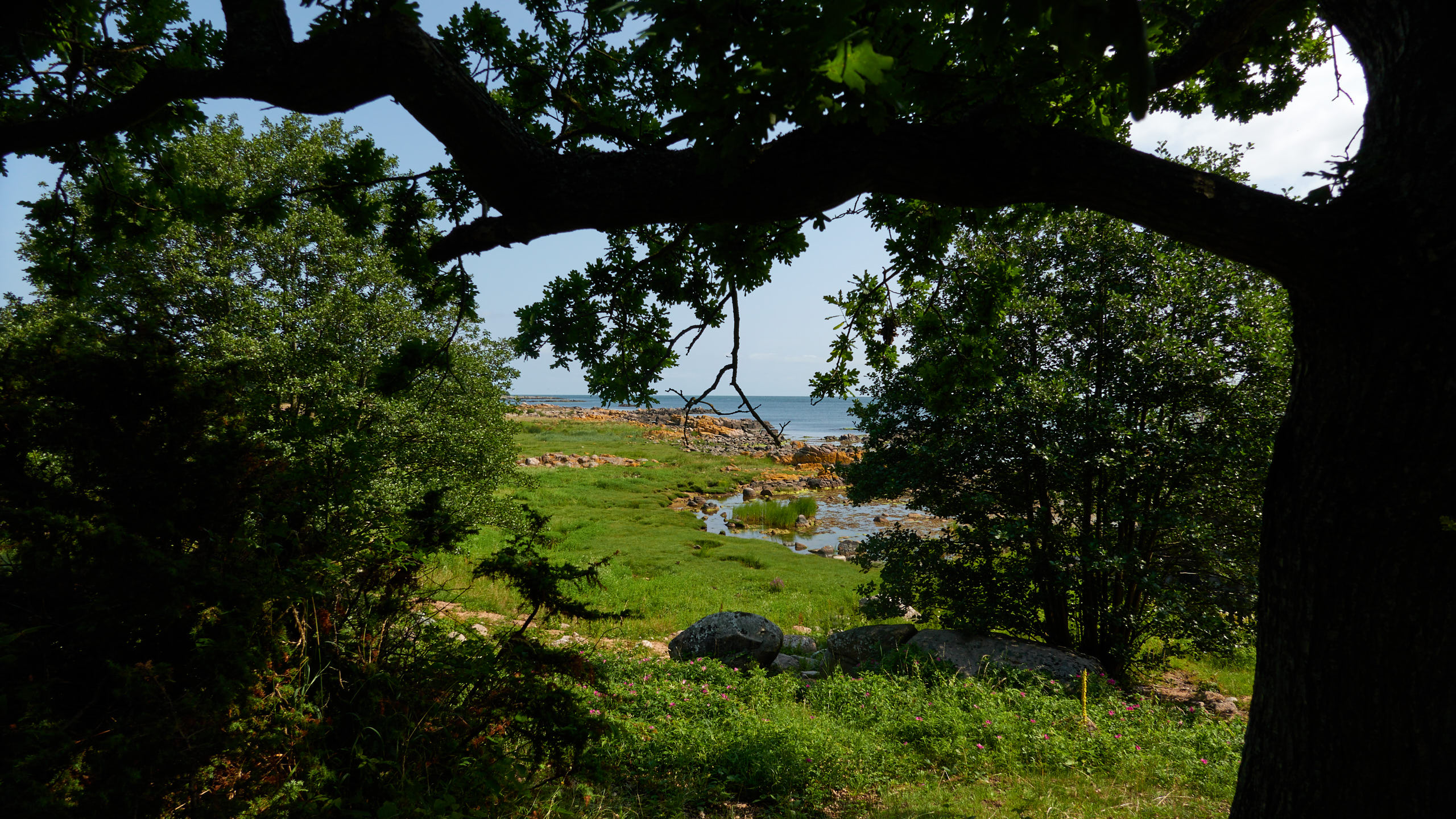 20210718_112801_DSC-RX100M7_DSC00995