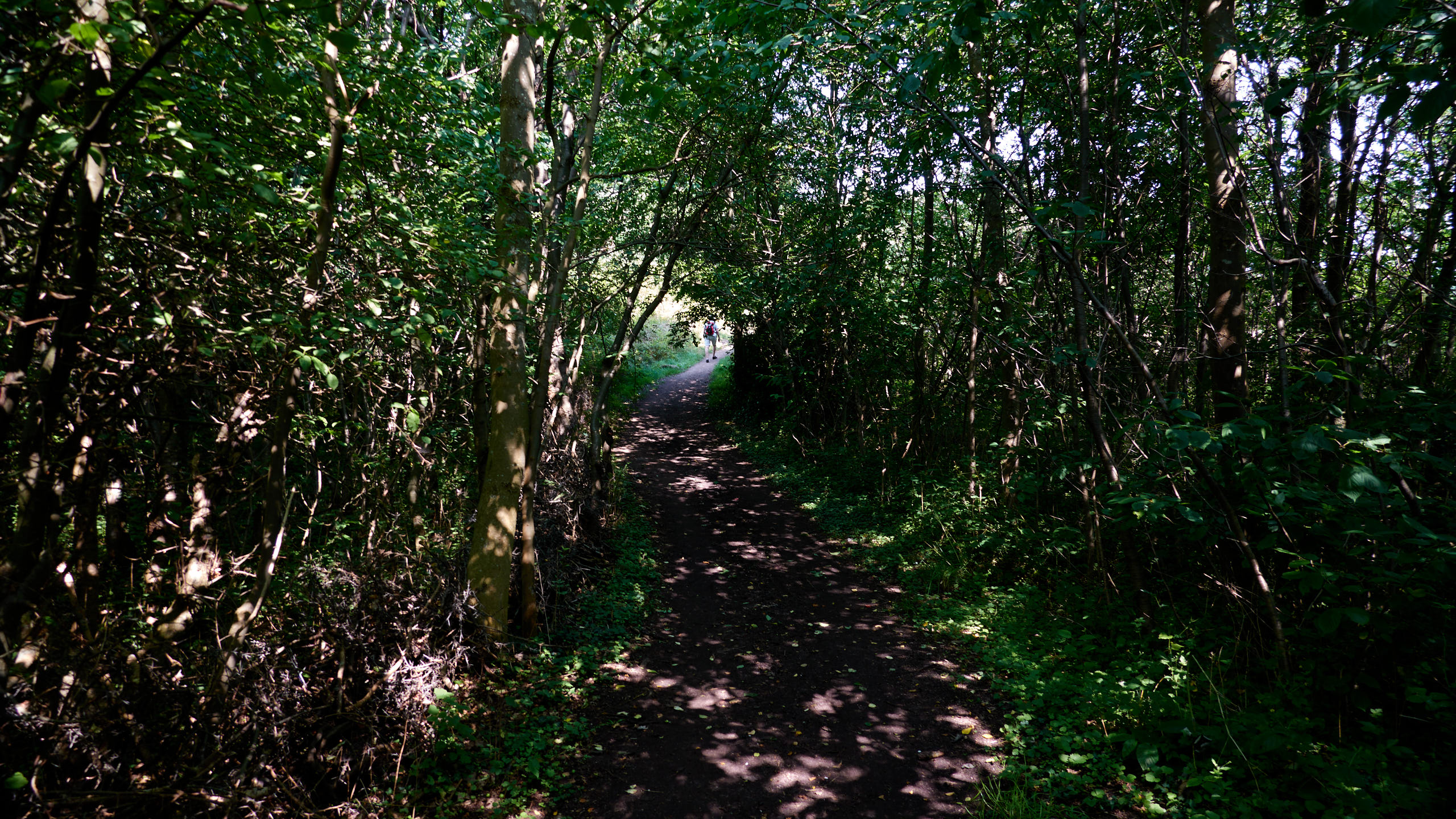 20210718_113211_DSC-RX100M7_DSC01001