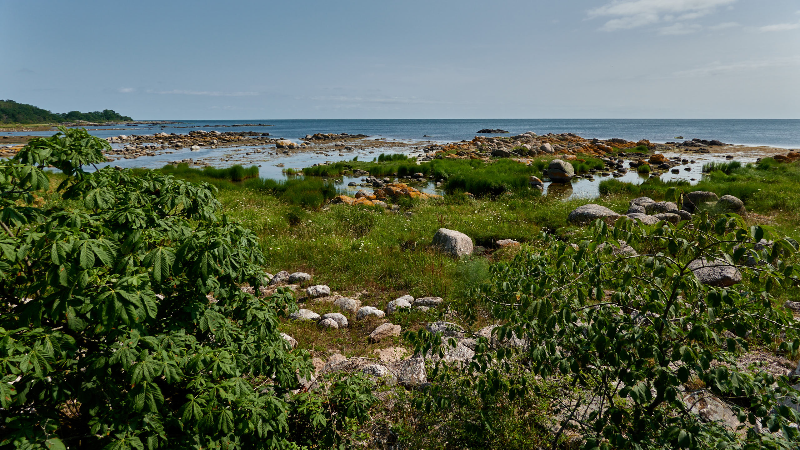 20210718_113317_DSC-RX100M7_DSC01002