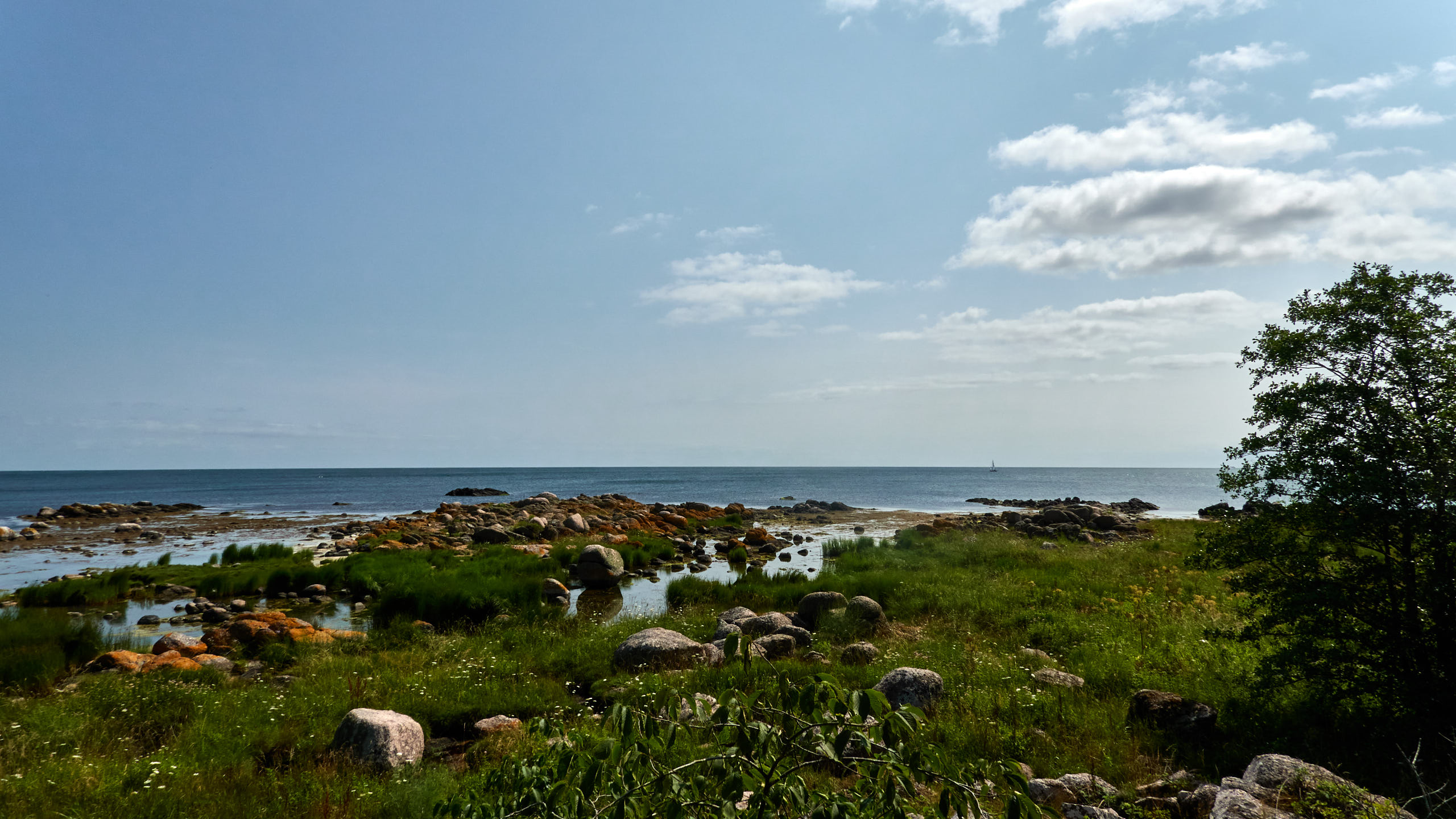 20210718_113323_DSC-RX100M7_DSC01003