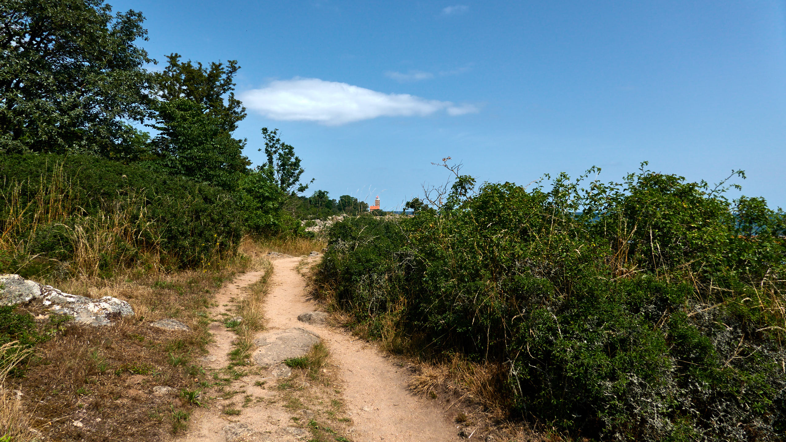 20210718_115455_DSC-RX100M7_DSC01019