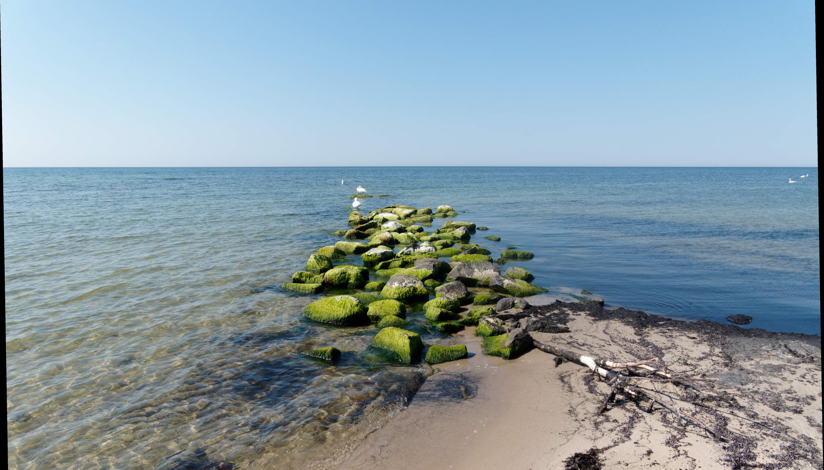 2021-06-03_DSC-RX100M7_DSC00123