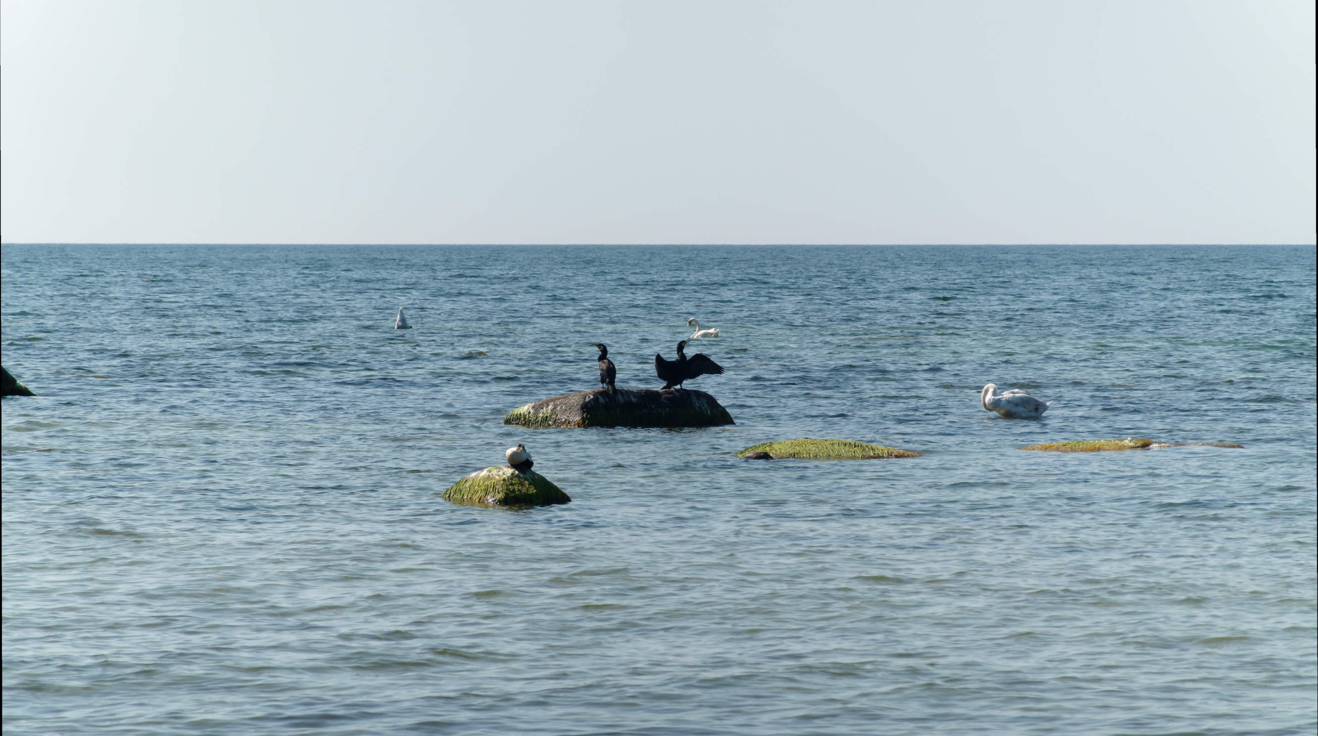 2021-06-03_DSC-RX100M7_DSC00125