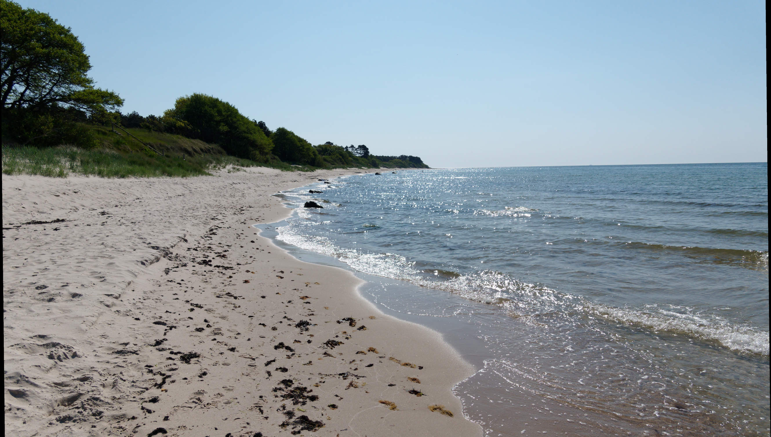 2021-06-03_DSC-RX100M7_DSC00131