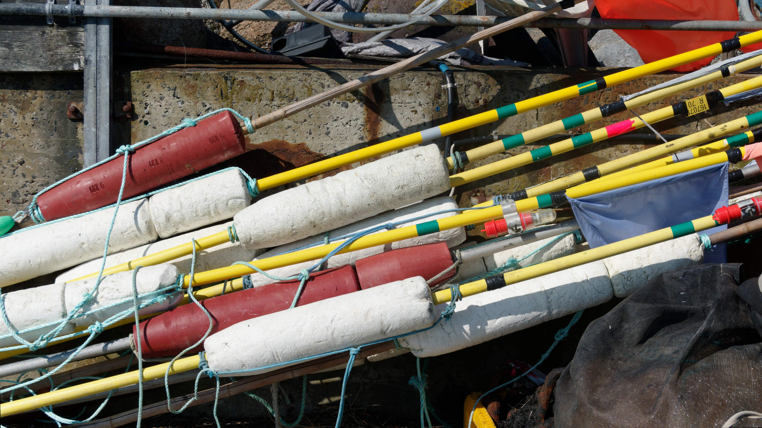 2021-06-03_DSC-RX100M7_DSC00137