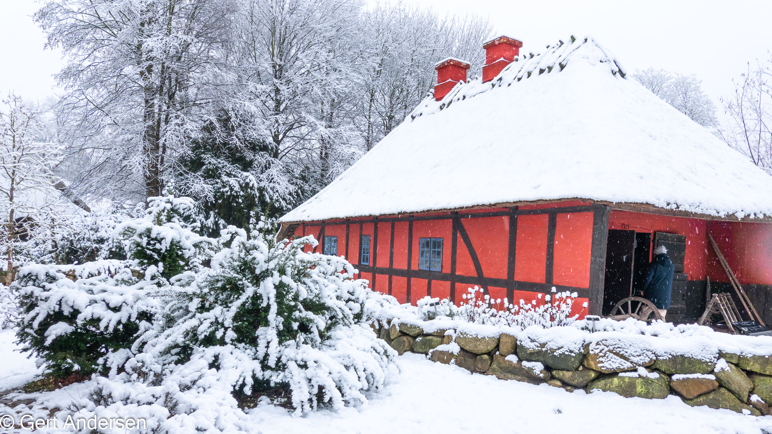 20211211_113309_DSC-RX100M7_DSC02553