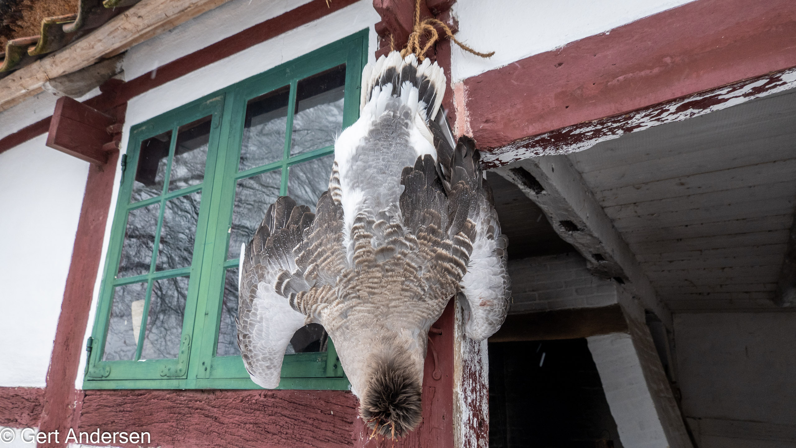 20211211_113316_DSC-RX100M7_DSC02554