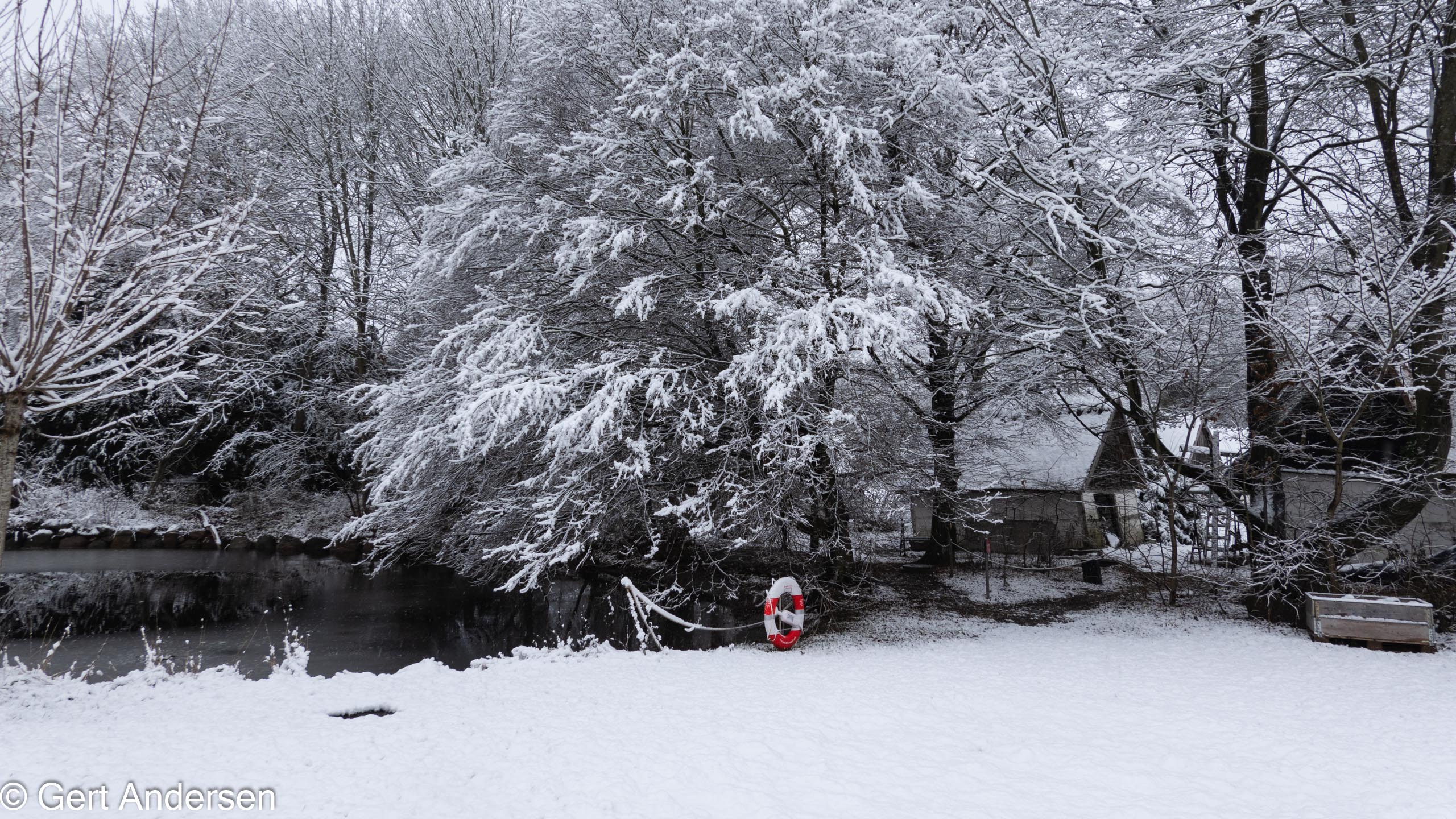 20211211_113707_DSC-RX100M7_DSC02560