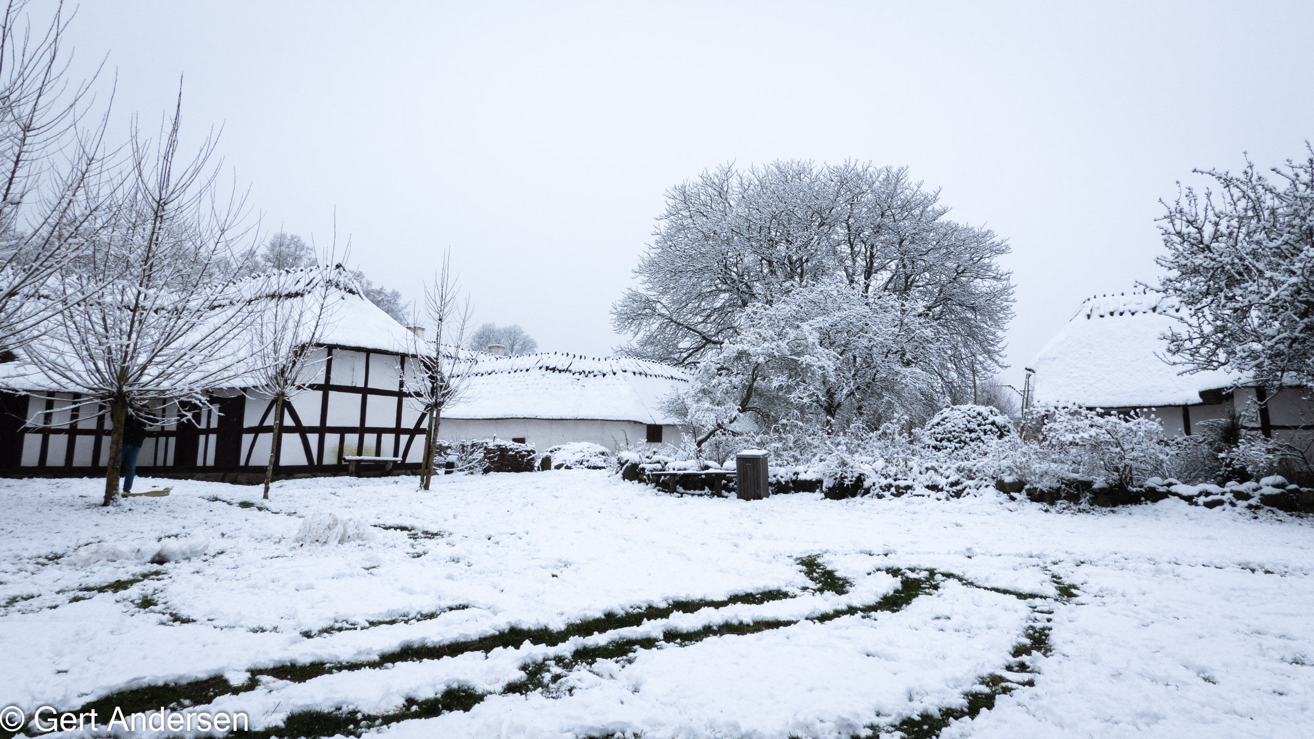 20211211_113947_DSC-RX100M7_DSC02564