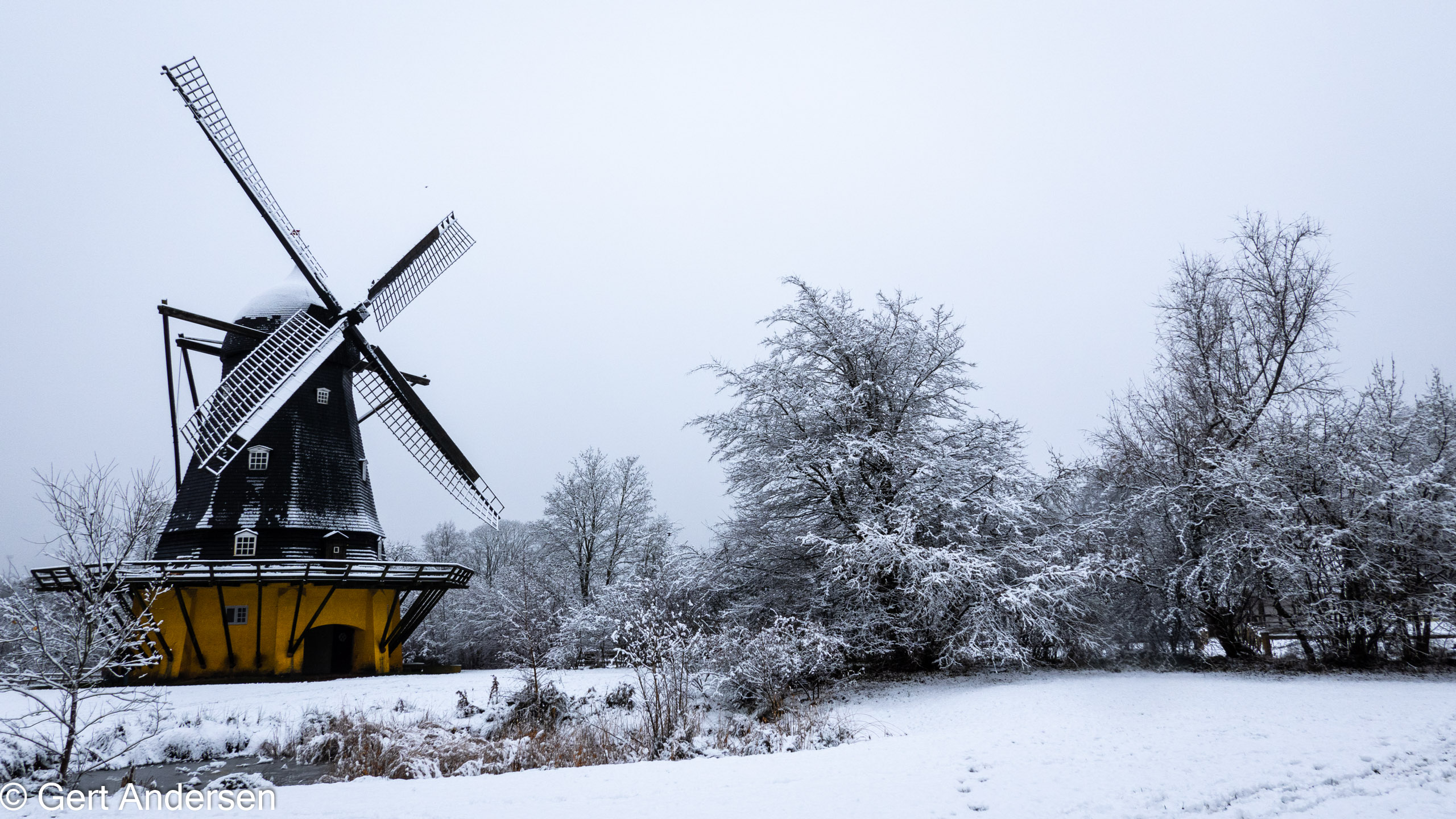 20211211_122851_DSC-RX100M7_DSC02578