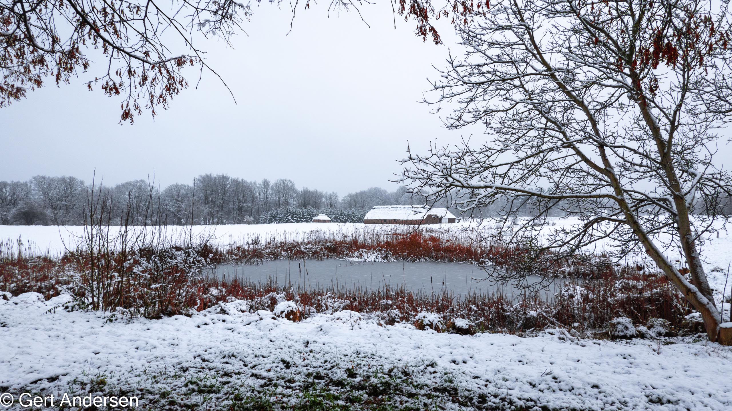 20211211_141104_DSC-RX100M7_DSC02596